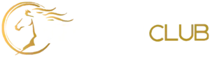 https://static.arabicbet.org/wp-content/uploads/2022/01/VIP-AC-logo-300x82.png