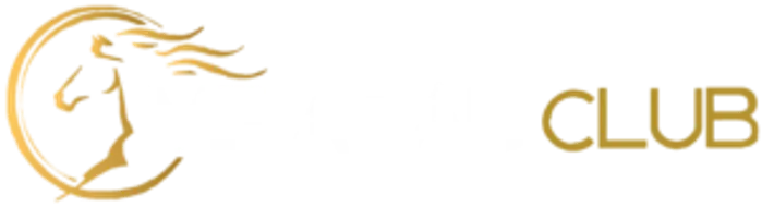 https://static.arabicbet.org/wp-content/uploads/2022/01/VIP-AC-logo-300x82.png