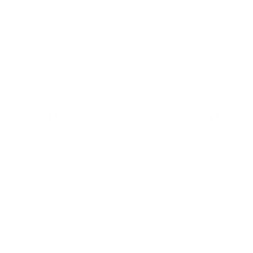 white lion casino