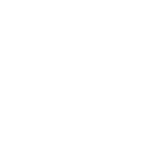 white lion casino