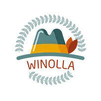 Winolla casino