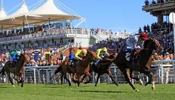 مزرعة أم قرن لتربية خيول السباق في قطر