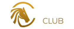 VIP ARAB CLUB